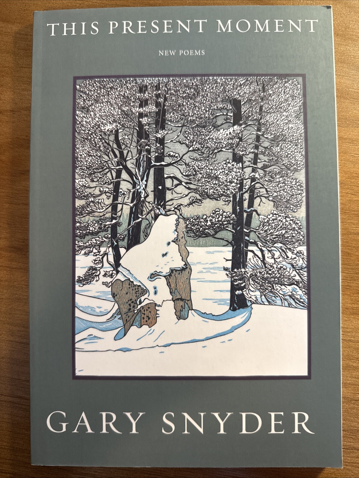 This Present Moment New Poems by Gary Snyder Paperback