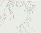 The Twelve Kingdoms Juuni Kokki Genga Douga Original Sketches Pierrot - Youko — photo 8