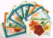 10 GENUINE VINTAGE CARD SEED PACKETS FLORAL C1910 BURT GARDENING DALTON NEW YORK