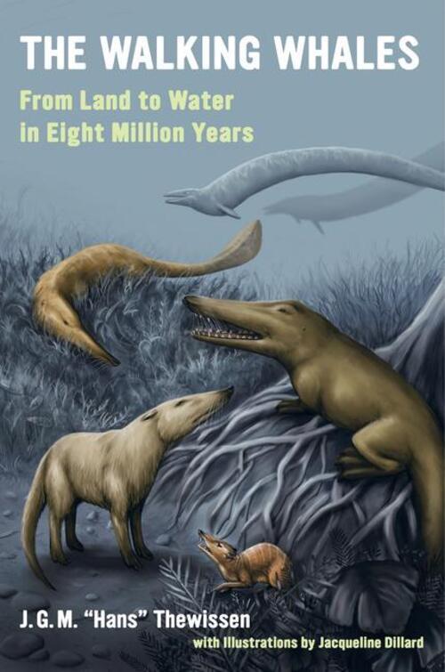 Thumbnail - J M Hans Thewissen | The Walking Whales | Taschenbuch | Englisch