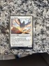 Magic the Gathering Marvel's Spider-Man City Pigeon Card (#1)