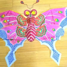 [Unused, box included] Traditional Chinese crafts Jingyanpai