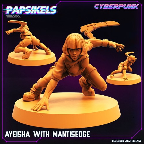 Cyberpunk Miniature Mini Ayeisha Netstrider Papsikels Cyborg 2077 RPG - Picture 7 of 14