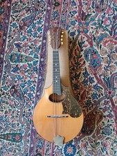 vintage washburn mandolin model 1915 1422 style rosewood