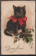 CH103 New Year BLACK HOLLY CAT CHAT KATZE Portrait Fine LITHO PITTIUS