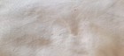 Bild 8 von 8