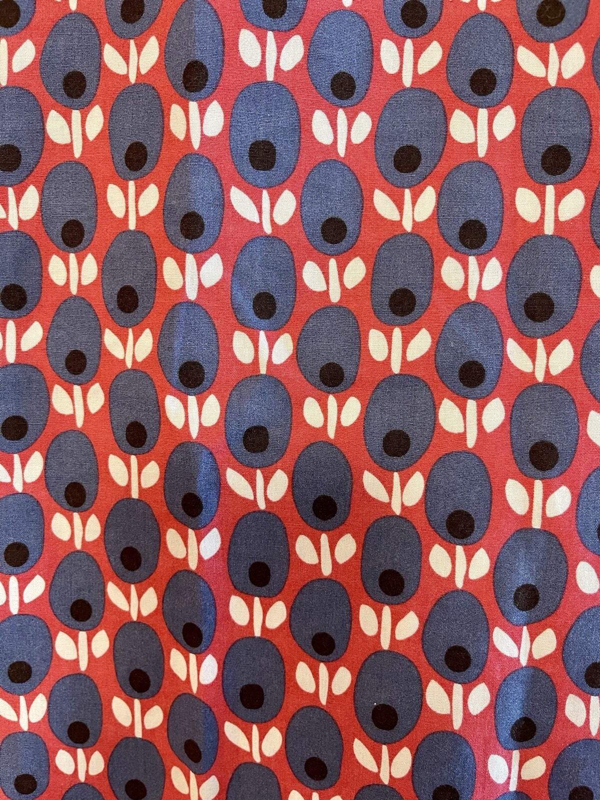 Picture 4 of 7