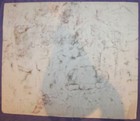 Bild 8 von 8