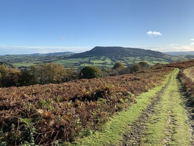 Photo A2 Track on Deri Llwyn-du/SO2816 Looking towards Ysgyryd Fawr. c2021