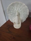 Vintage Ceramic Peacock Wall Pocket Vase Planter USA MCM McCoy