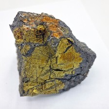 CALCOPIRITE Microcristallina in ILVAITE da Campiglia Marittima