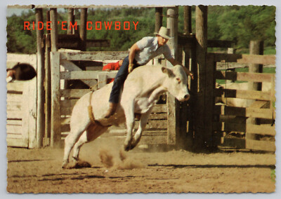 Postcard Western Rodeo Cowboy Bull Riding TX Ride Scene Sports