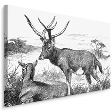 CANVAS Leinwand Bilder XXL Wandbilder Kunstdruck Natur Hirsch Reh Skizziert 862