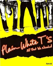 Plain White T's All The We Need Fearless Music Band Promo Poster 20 x 16
