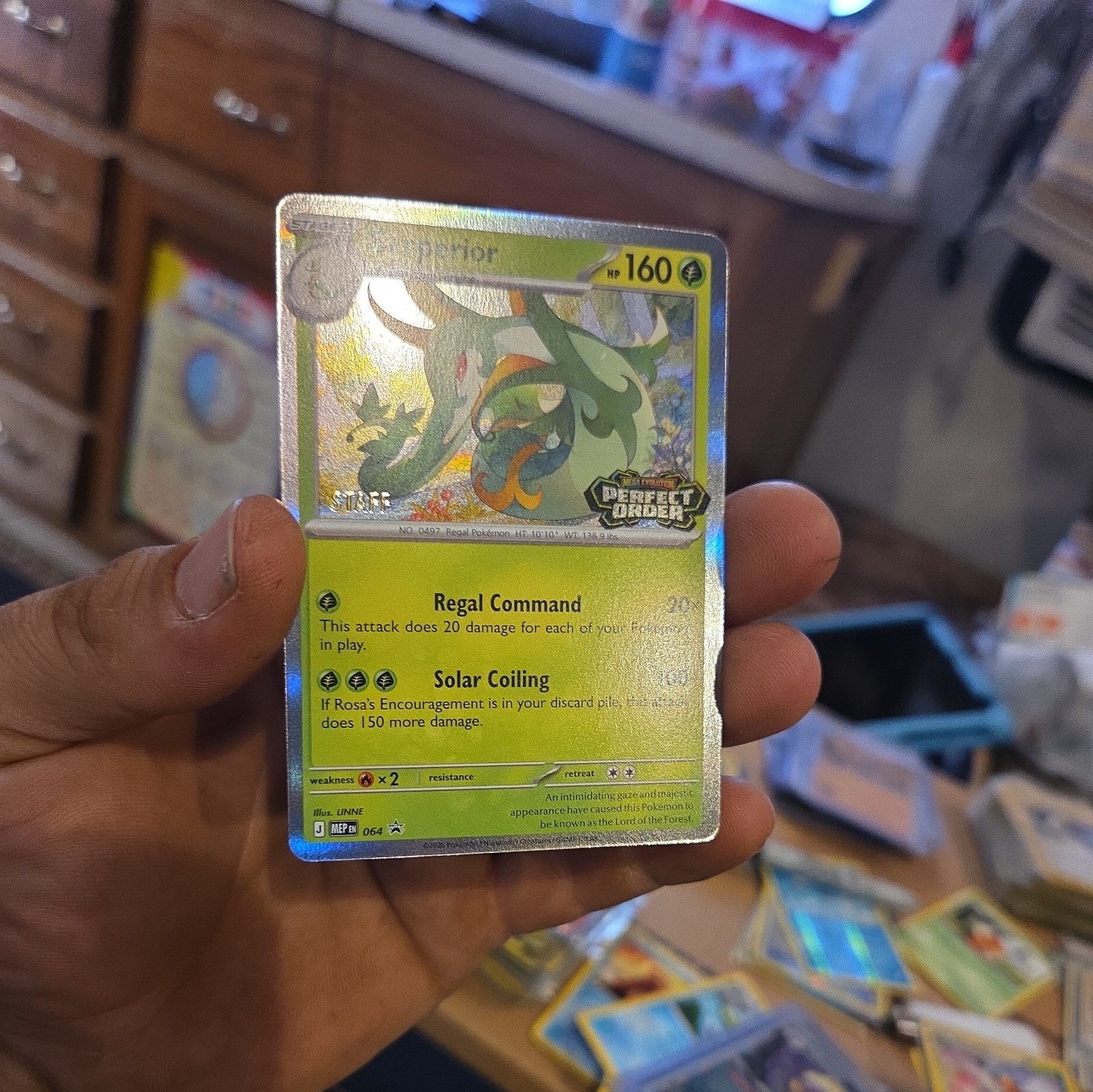 Serperior - 064 [Staff] 064 Me: Mega Evolution Promo Holo