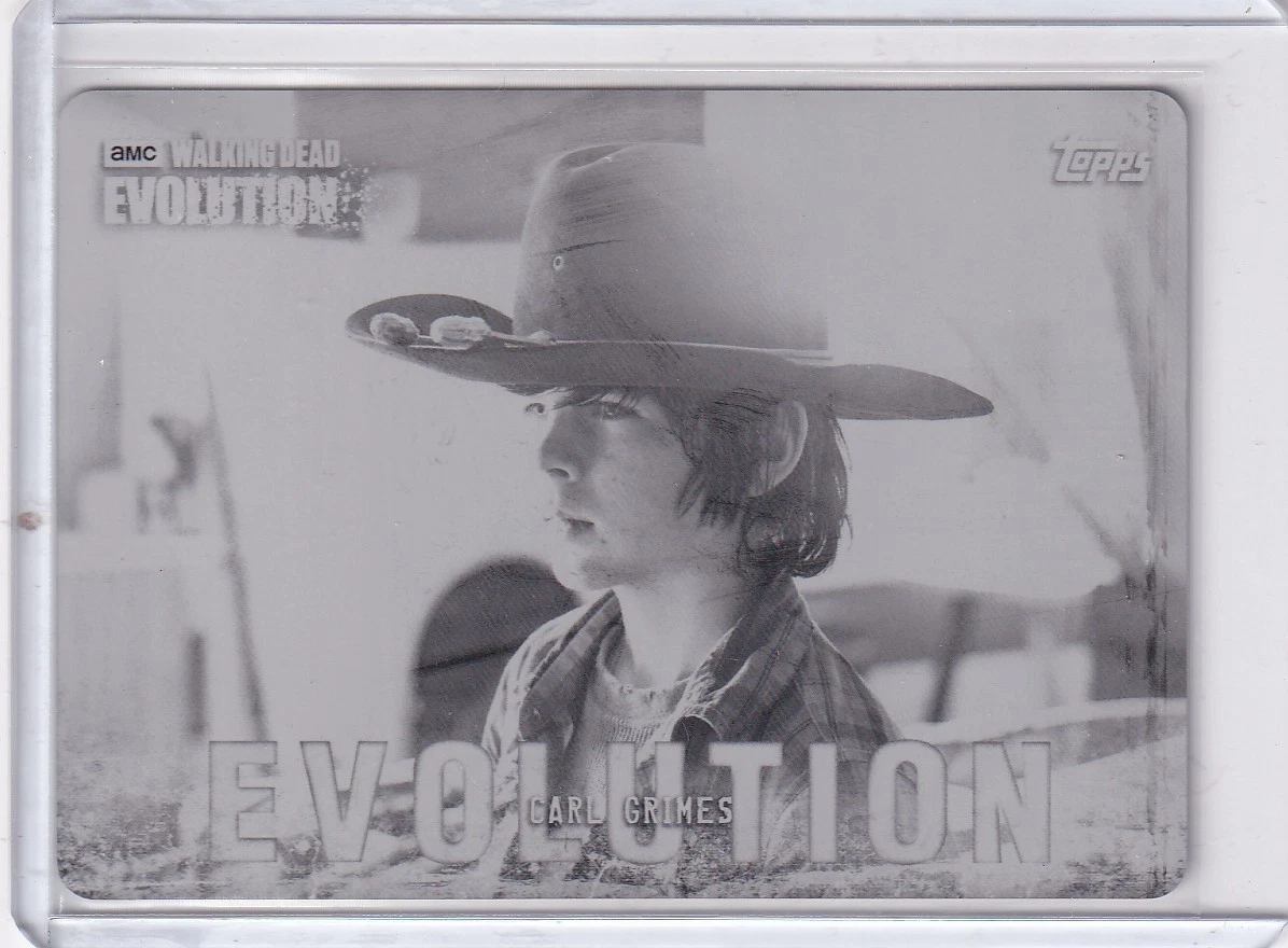 25+ The Walking Dead Collectable Trading Card Printing Plate for