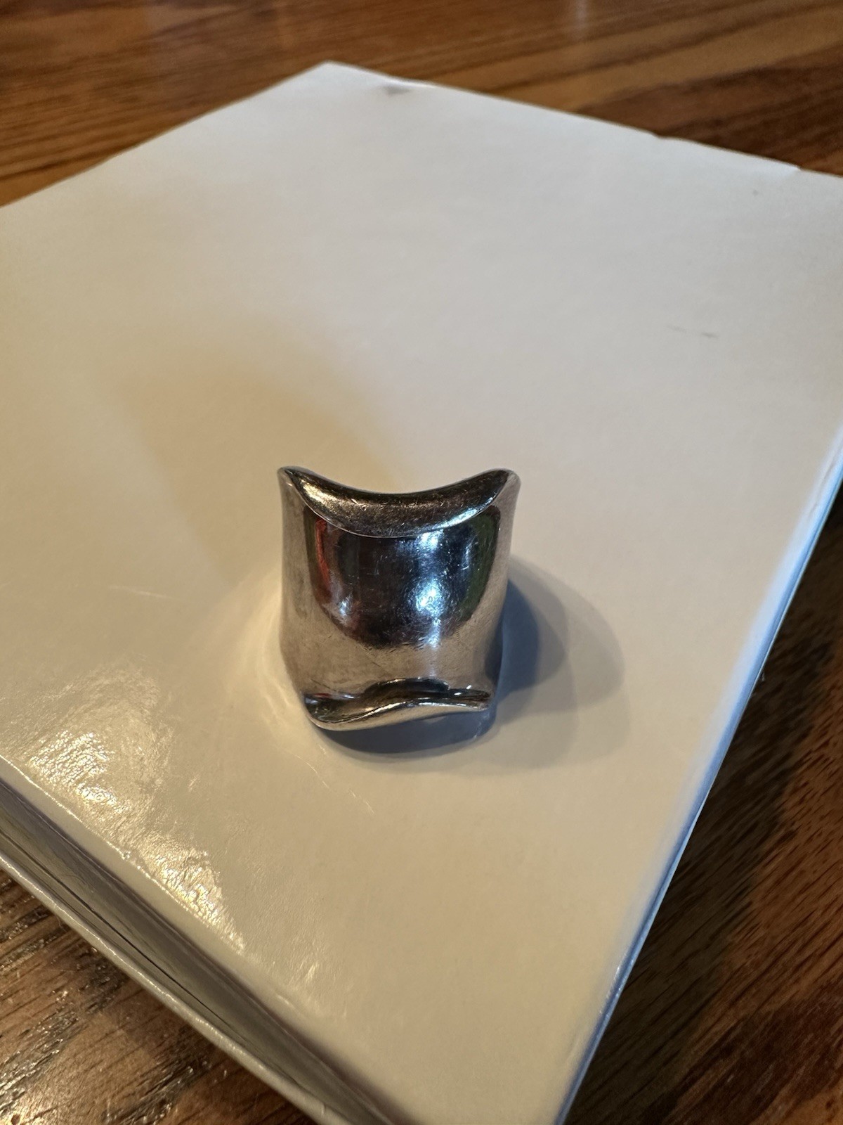 RLM Studio Ring - image 1