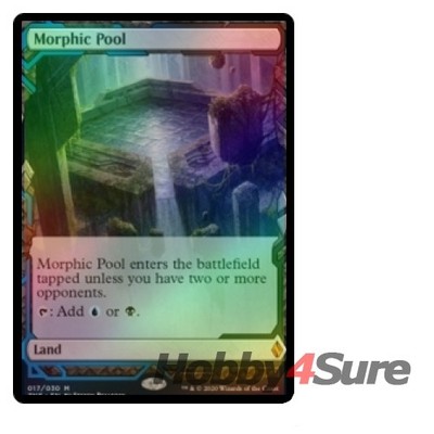 Foil Morphic Pool M/NM Magic: The Gathering MTG Zendikar Rising Expeditions
