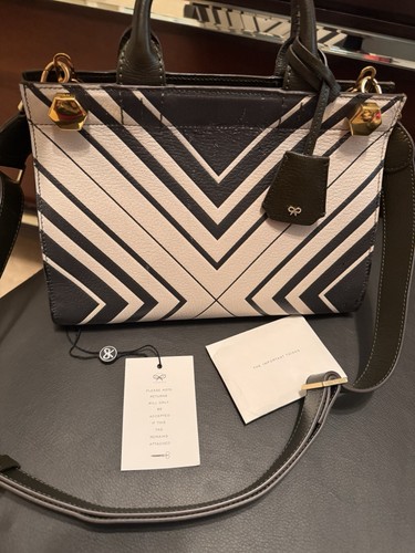 Anya Hindmarch Leather Ephson Diamonds Shoulder Bag CHALK/DARK OLIVE.$2250 - Picture 4 of 14