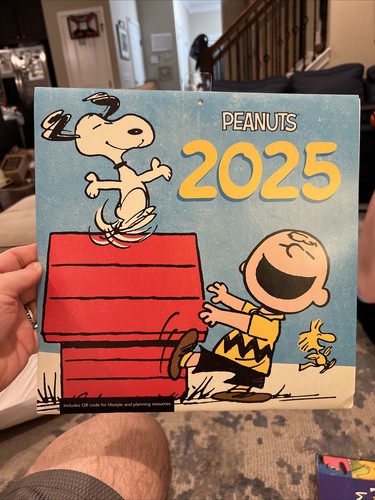 PEANUTS CHARLIE BROWN 2025 12” X 24” 16 Month Wall Calendar