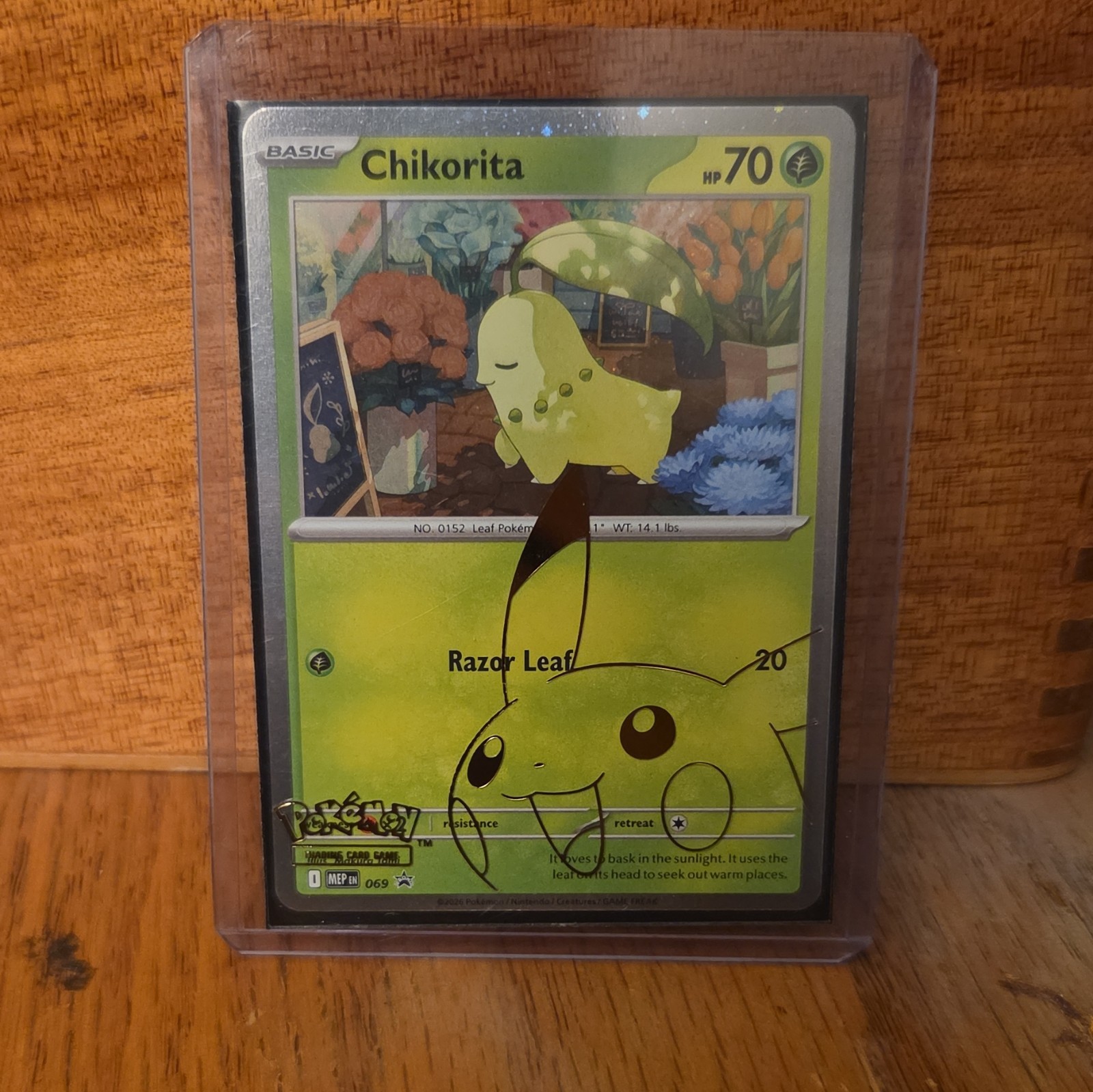 Pokémon TCG Chikorita Black Star Promo Mega Evolutions 069