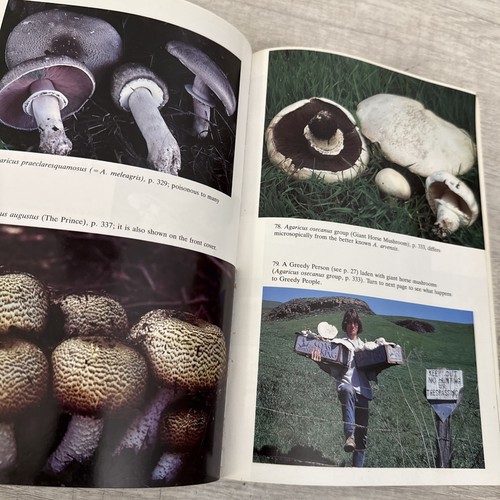 Mushrooms Demystified by David Arora (1986, Trade Paperback) - Picture 11 of 12