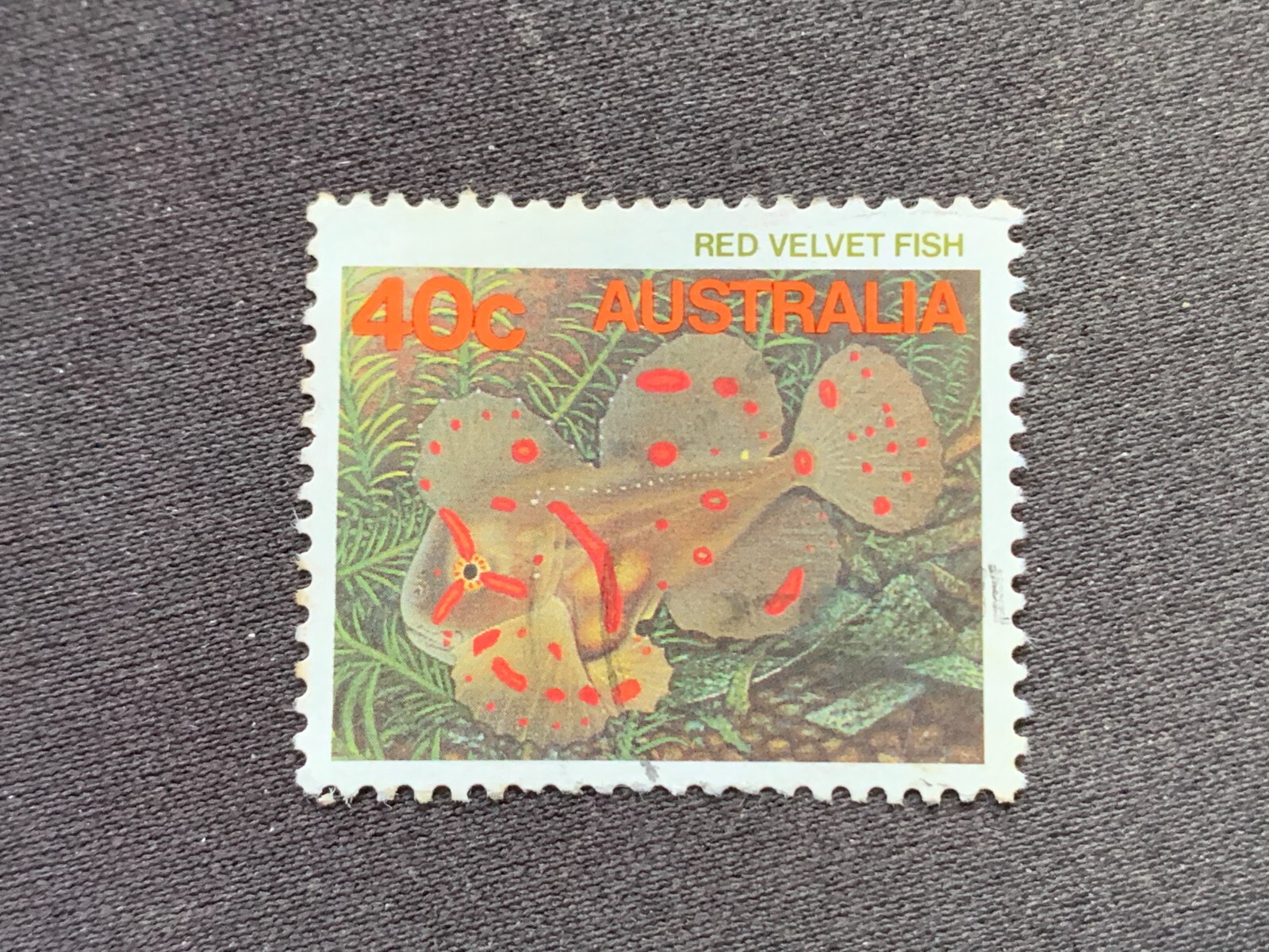 Ebay Item For Sale
