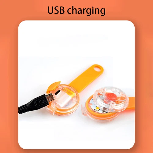 LED Dog Cat Collar Light Flashing Tag Pendant Warning USB Waterproof - Picture 5 of 13