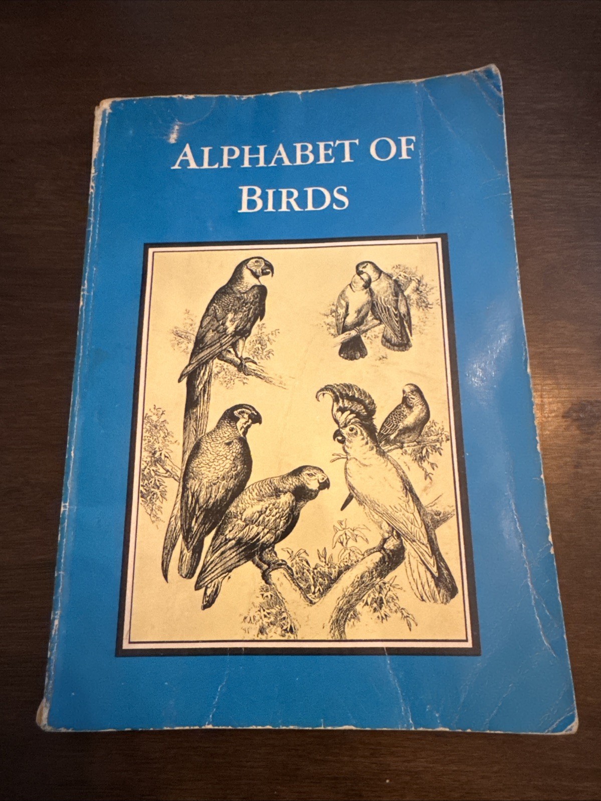 Alphabet of Birds SC Staff Of The Grolier Society Inc Paperback