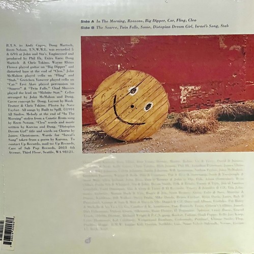 Built To Spill There`S Nothing Wrong With Love (Silver Vinyl) VINYL LP NEW - Picture 4 of 4