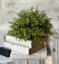 7" New Green Baby's Grass Half Sphere Floral Decor