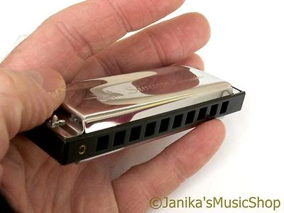 JANIKA Swan blues small pocket harmonica+hard case harp mouth organ 10 hole 3 octave C