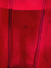 Clinique Make-up Bag Case Red Canvas Cosmetic Travel Purse Clutch Zipper Closure — photo 6