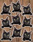 Peeking Black Kitten Die Cut Vinyl Stickers Set Scrapbooking Laptop Water Bottle