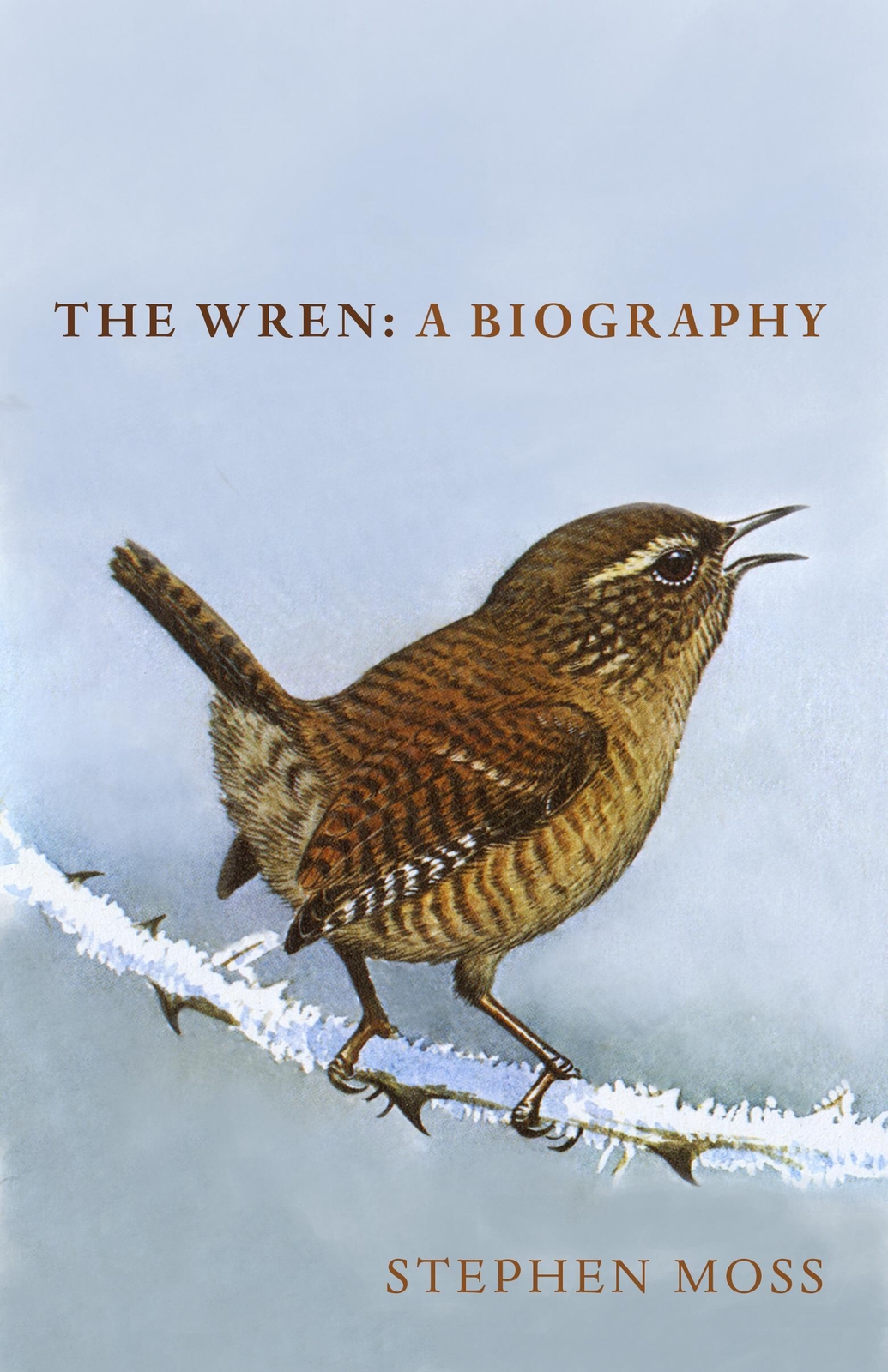 Thumbnail - The Wren | Stephen Moss | A Biography | Buch | Gebunden | Englisch |