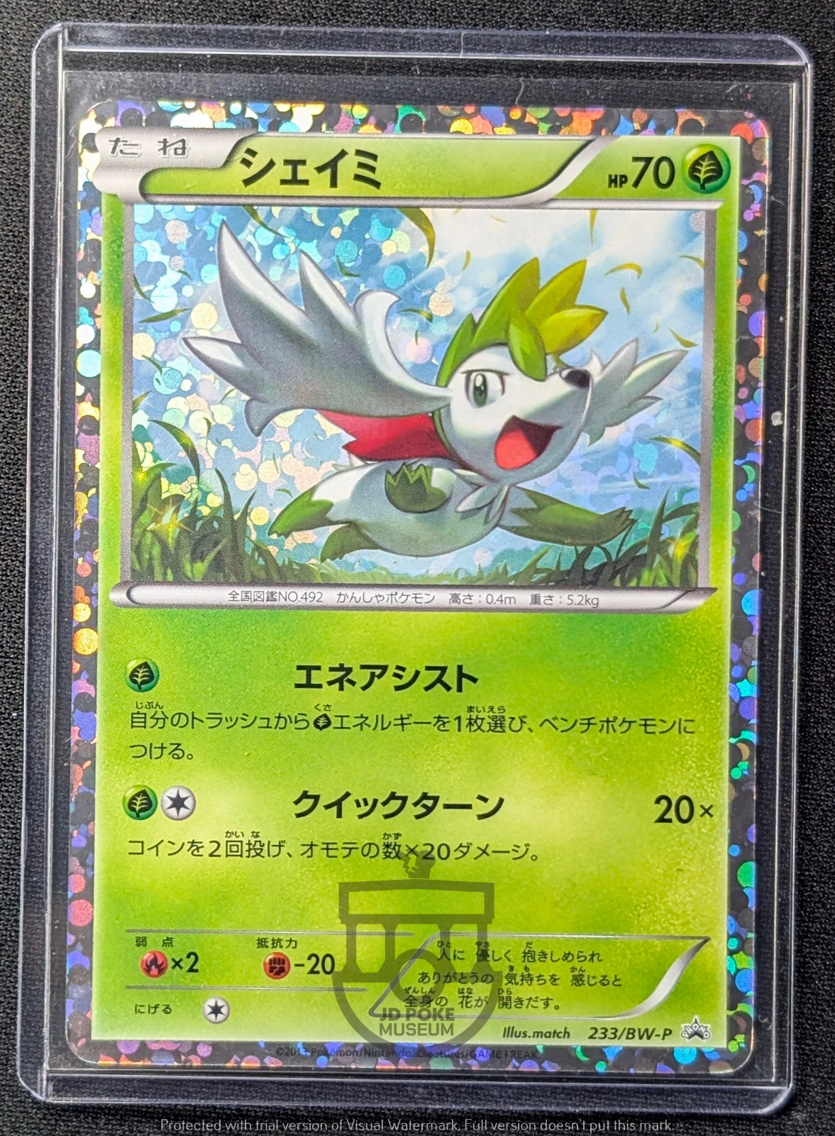 Pokemon 2013 Japanese Promo - Shaymin 233/BW-P Holo Card - LP