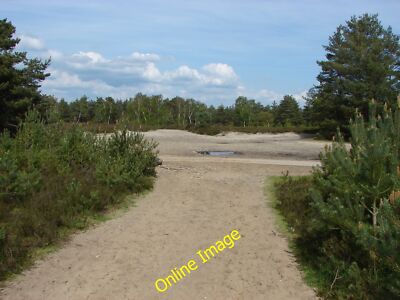 Foto 12x8 Sandige Erde Topf Gewöhnlich\/SU9042 Eine Fläche freiliegenden Sandes auf der He c2014
