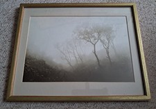 FRANK MEADOWS SUTCLIFFE 'A STUDY OF TREES ' C 1893