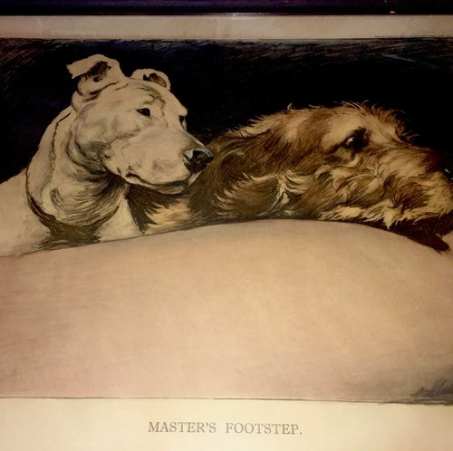 Cecil Aldin Print Bull Terrier & Wolfhound “Master’s Foot Step”Art Print 18”x24”