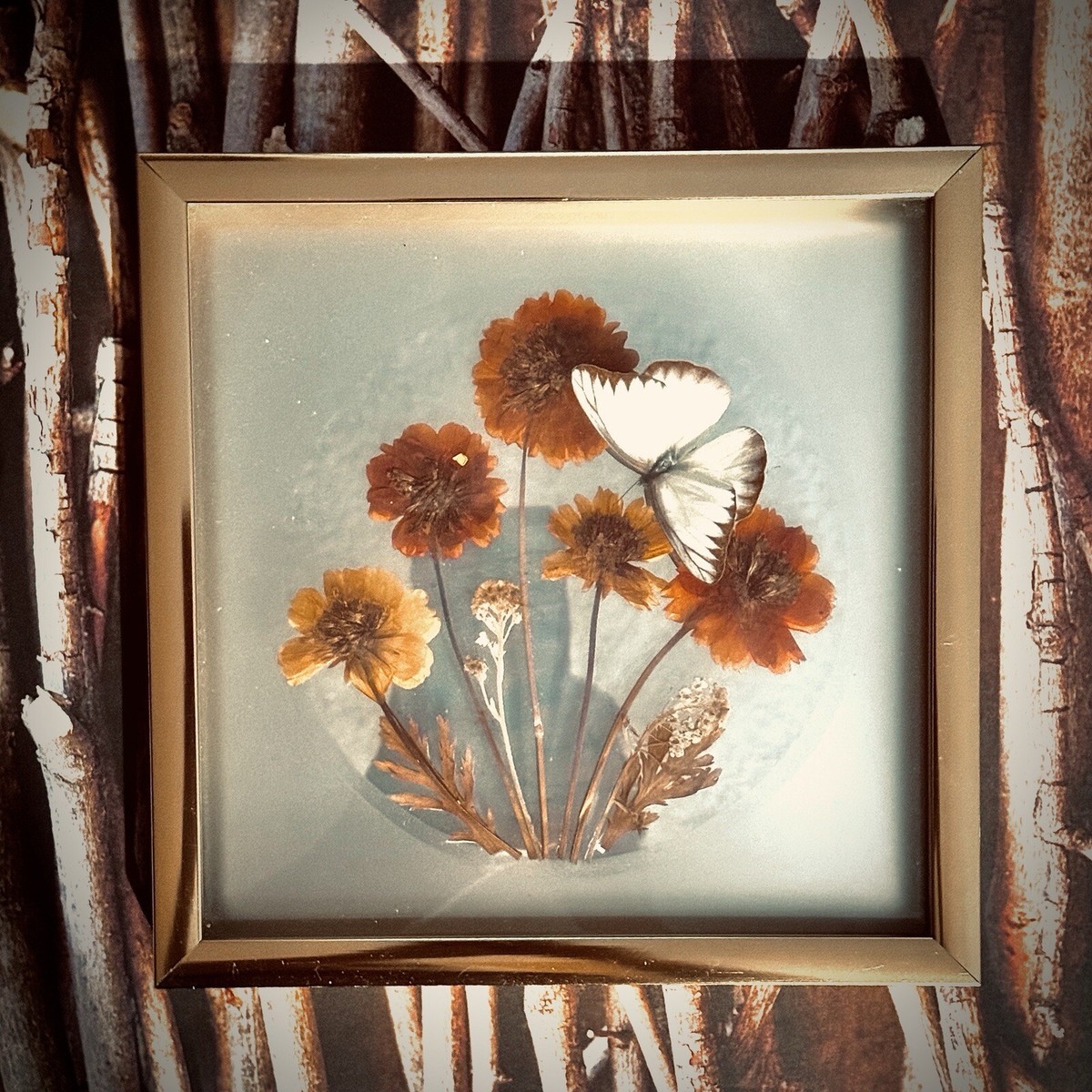 Butterfly & Dried Flowers Wall Art In Gold Aluminum Frame