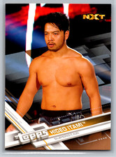 Hideo Itami 2017 Topps WWE Bronze Parallel #74