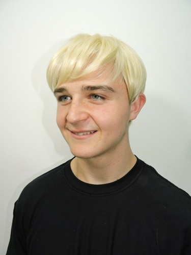 Mens Short Wig Fancy Dress Boy Band Costume 60s 70s 80s 90s Brown Ginger Blonde - Picture 4 of 5
