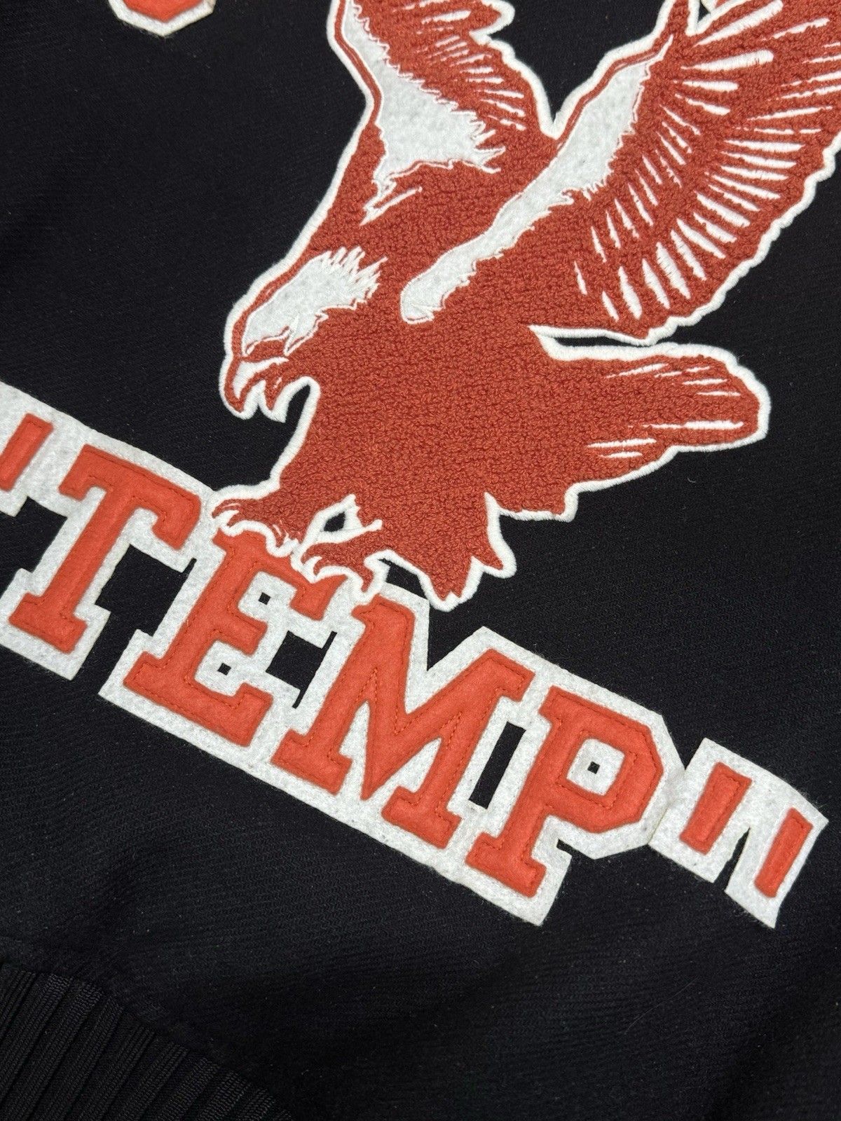 Off-White Eagle Temperature Eagle Varsity Jacket … - image 15