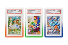 GradedGuard Summer Sips Bundle - 3 PSA Graded Guard Card Protector READY TO SHIP