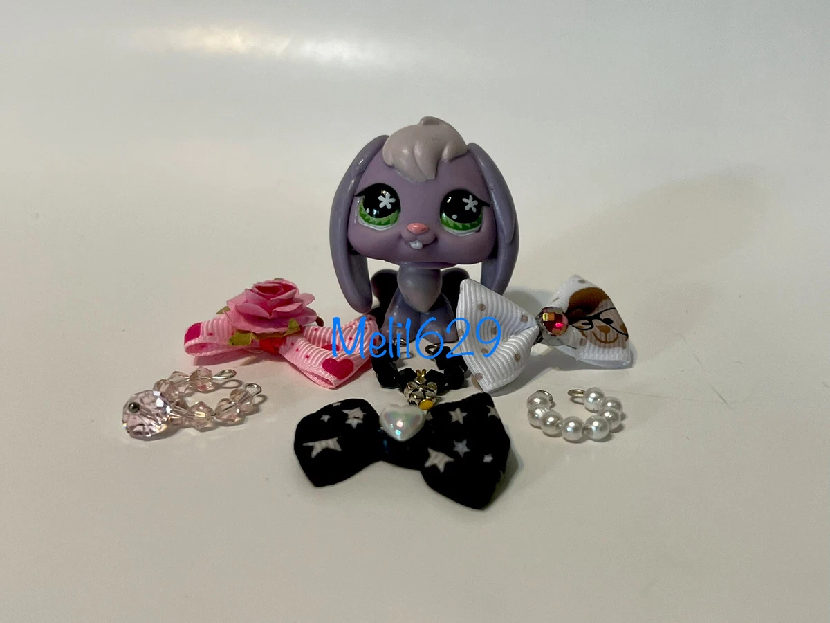 Littlest Pet Shop 648 Rabbit Floppy Ears W Accessories