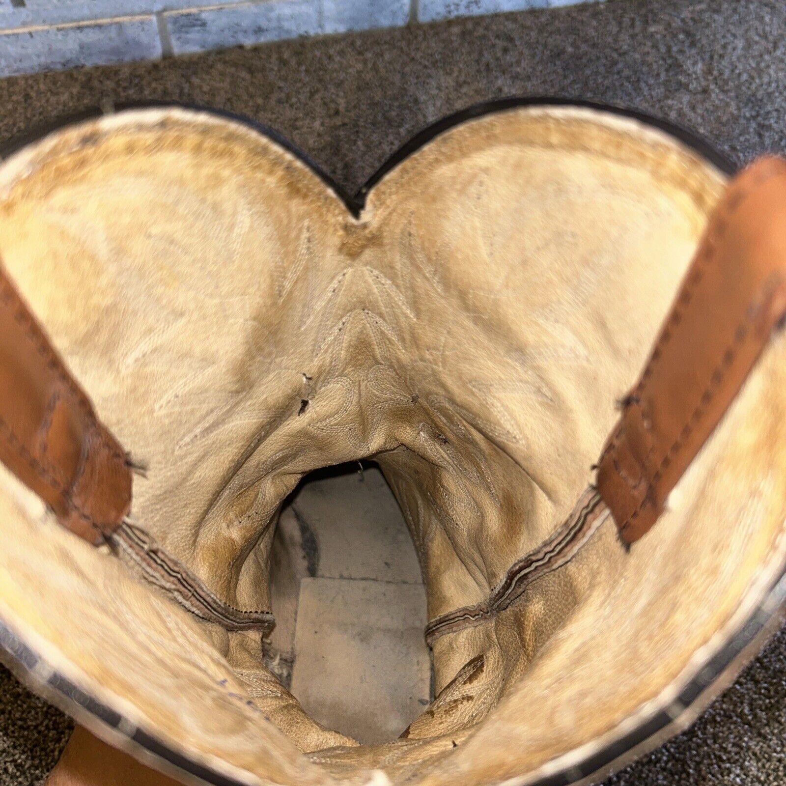 Foto 14 di 14