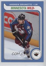 2008-09 O-Pee-Chee Retro Andrew Brunette #466 1s7
