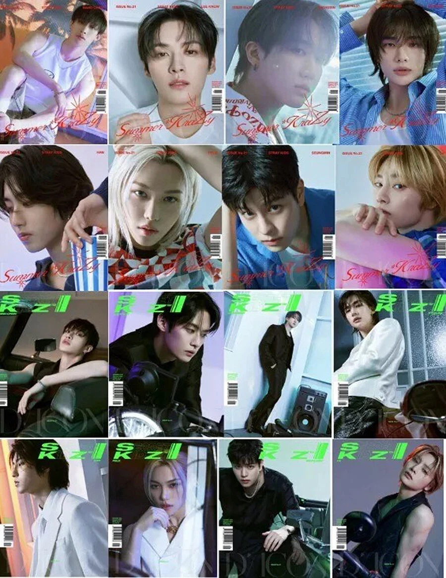 DICON VOLUME N°21 STRAY KIDS : SUMMER KRAZY /2 Book+4Card+Holder+