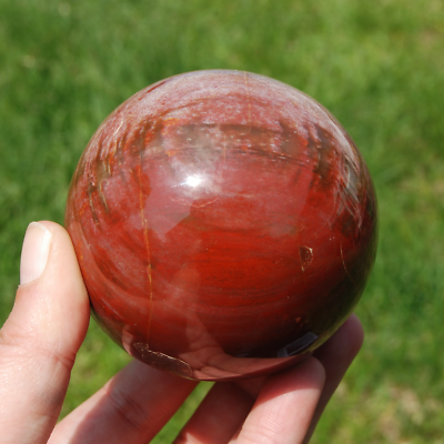 3in 1.3lb XL Colorful Petrified Wood Crystal Sphere, Red Purple