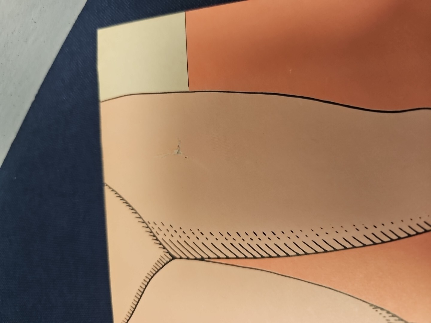 Private Parts Adult Party Game Where You "Pin The You-Know-What" 1981 